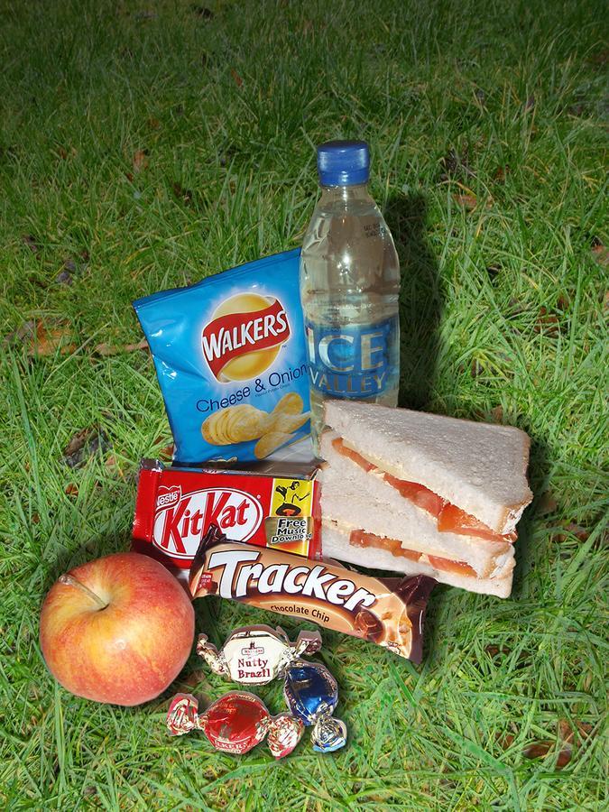 Glyn Peris Bed and breakfast